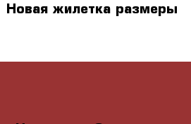 Новая жилетка размеры 86,86 › Цена ­ 400 - Самарская обл., Тольятти г. Дети и материнство » Детская одежда и обувь   